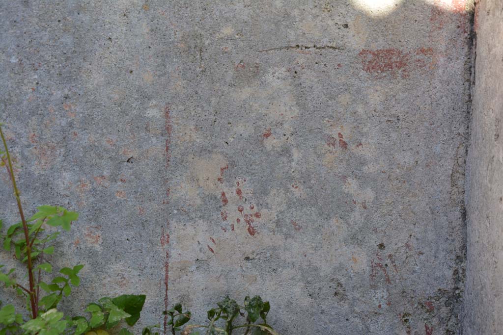 IX.5.16 Pompeii. March 2017. Triclinium d’, detail from zoccolo on lower east wall at south end.
Foto Christian Beck, ERC Grant 681269 DÉCOR.