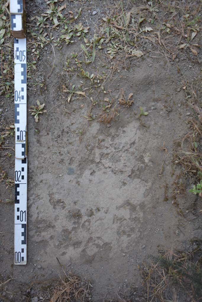 IX.5.17/6 Pompeii. May 2017. Room x, flooring.
Foto Christian Beck, ERC Grant 681269 DÉCOR.