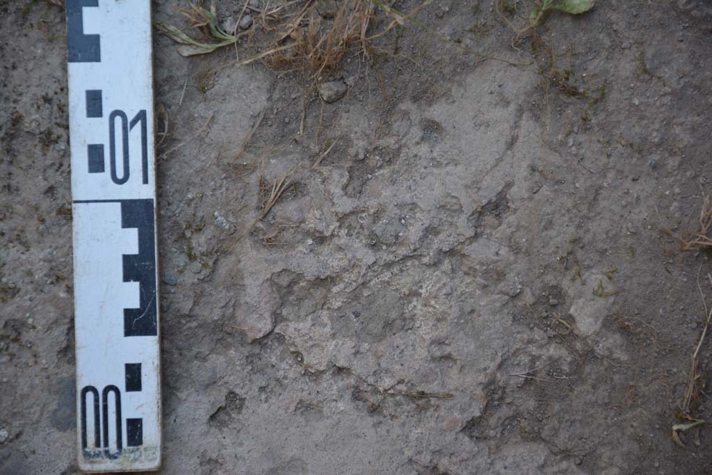IX.5.17/6 Pompeii. May 2017. Room x, detail of flooring.
Foto Christian Beck, ERC Grant 681269 DÉCOR.
