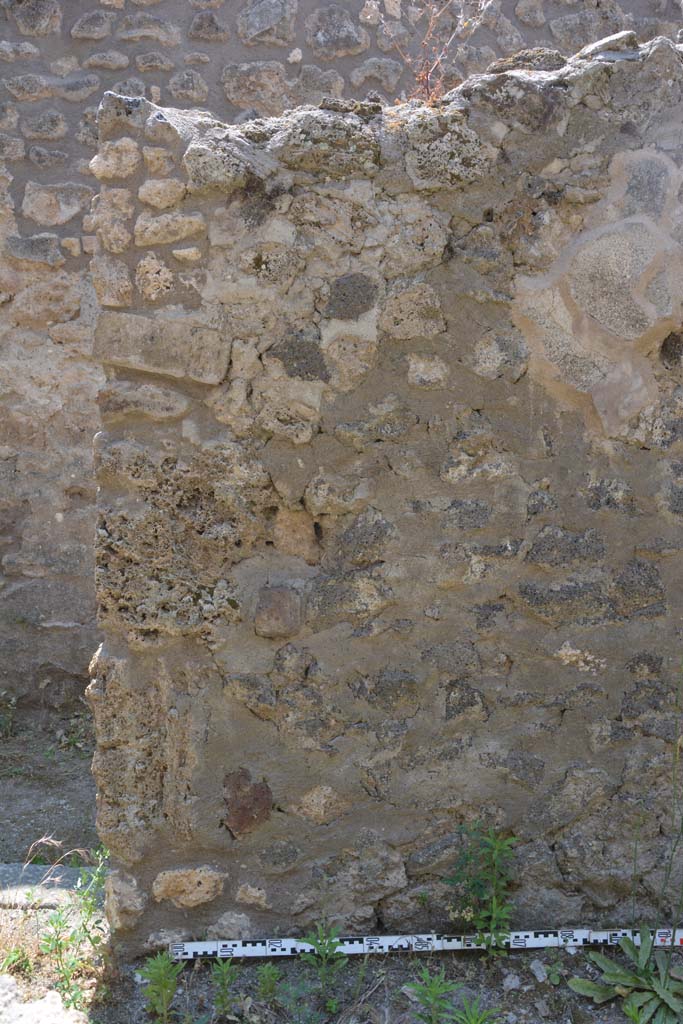 IX.5.17/6 Pompeii. May 2017. Room x, detail from south end of west wall.
Foto Christian Beck, ERC Grant 681269 DÉCOR.