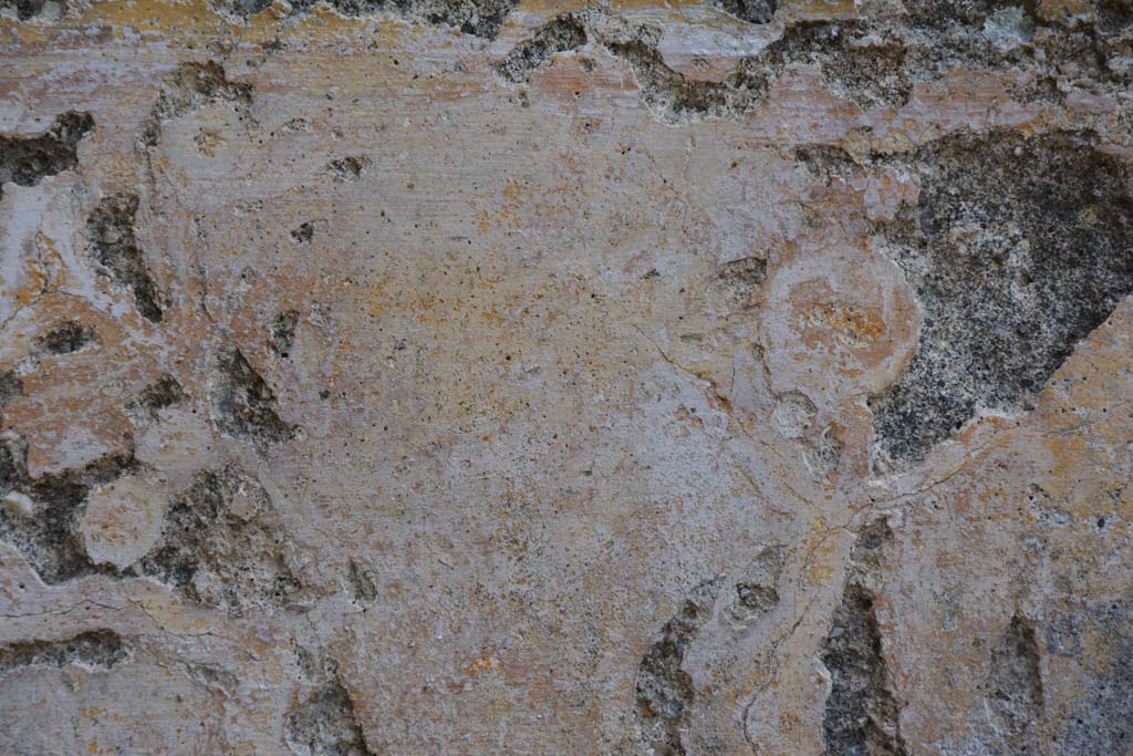 IX.5.6/17 Pompeii. May 2017. Room u, detail of remaining wall decoration.  
Foto Christian Beck, ERC Grant 681269 DÉCOR.