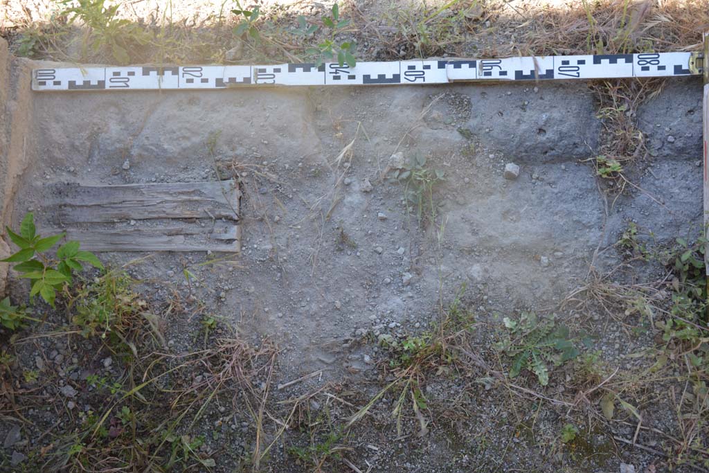 IX.5.18 Pompeii. May 2017. Room h, doorway threshold, looking north.
Foto Christian Beck, ERC Grant 681269 DÉCOR.