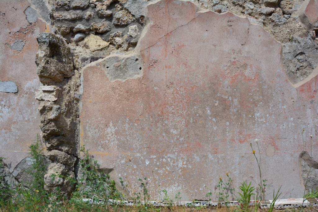 IX.5.18 Pompeii. May 2017. Room i, detail from east wall in north-east corner.
Foto Christian Beck, ERC Grant 681269 DÉCOR.