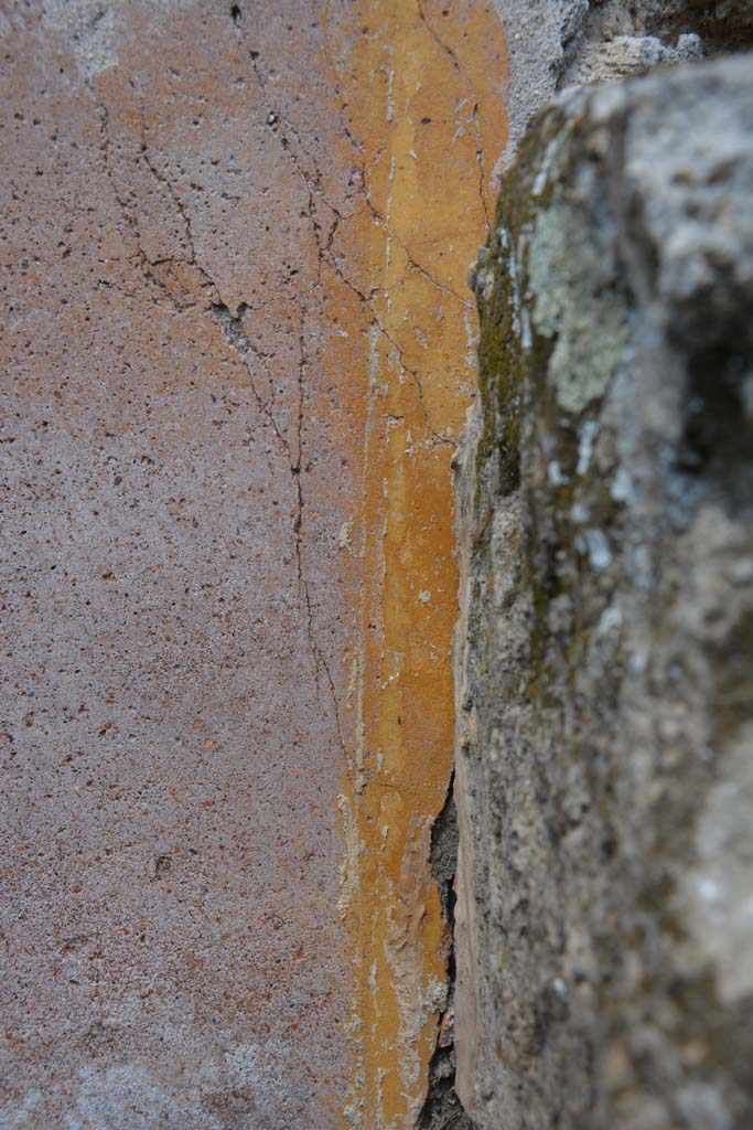 IX.5.18 Pompeii. May 2017. 
Room i, detail of painted decoration in atrium b, on north side of wall.
Foto Christian Beck, ERC Grant 681269 DÉCOR.