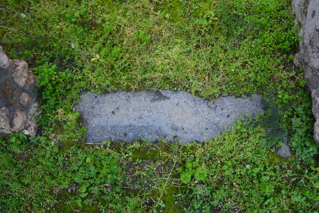 IX.5.18 Pompeii. March 2017. Room t, doorway threshold.
Foto Christian Beck, ERC Grant 681269 DÉCOR.