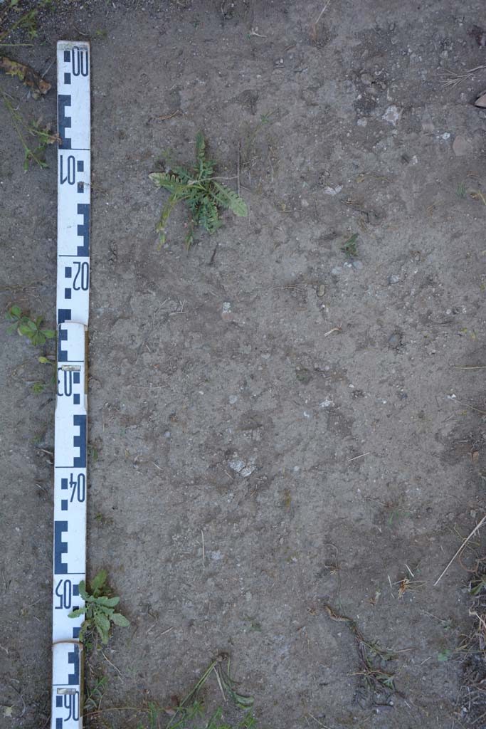 IX.5.18 Pompeii. May 2017. Room r, detail of flooring. 
Foto Christian Beck, ERC Grant 681269 DÉCOR.