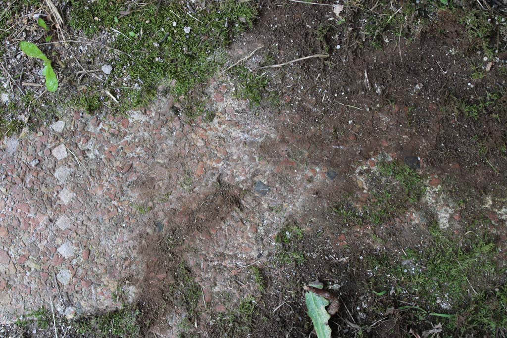 IX.5.18 Pompeii. May 2019. Room p, detail of flooring.
Foto Christian Beck, ERC Grant 681269 DÉCOR.