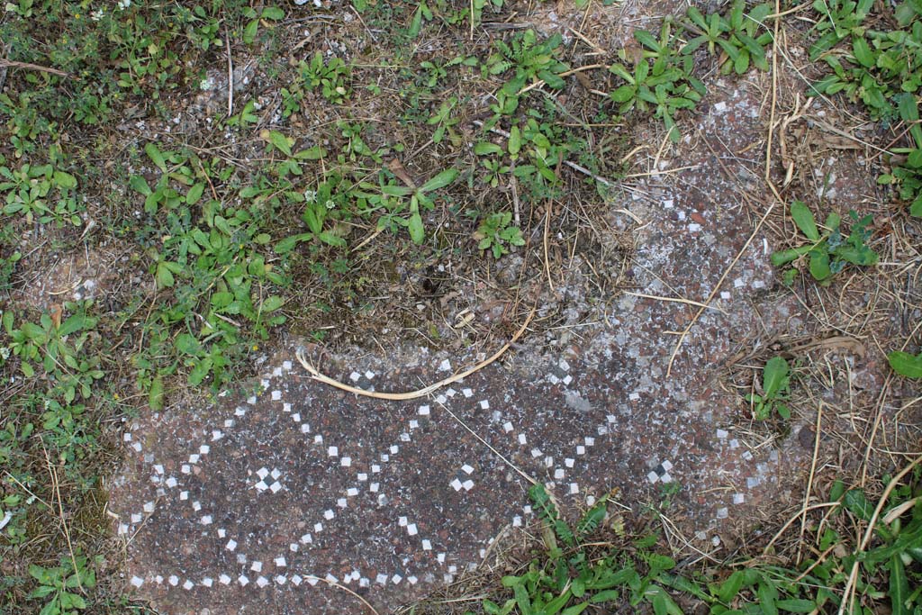 IX.5.18 Pompeii. May 2019. Room p, detail of decorative flooring from same corner as photo, above and below.
Foto Christian Beck, ERC Grant 681269 DÉCOR.
