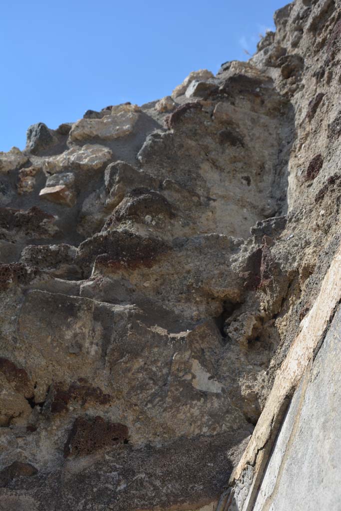 IX.5.18 Pompeii. May 2017. Room n, detail from upper north wall.
Foto Christian Beck, ERC Grant 681269 DÉCOR.