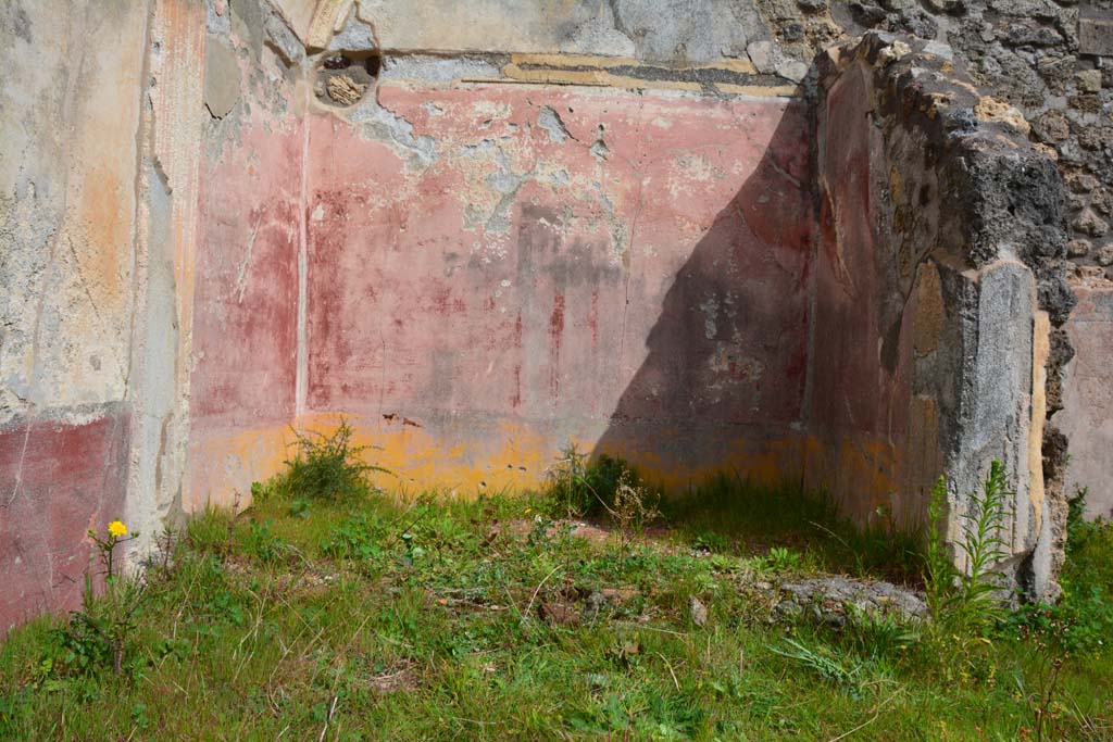 IX.5.18 Pompeii. March 2017. Room n, detail of painted decoration, looking east.
Foto Christian Beck, ERC Grant 681269 DÉCOR.