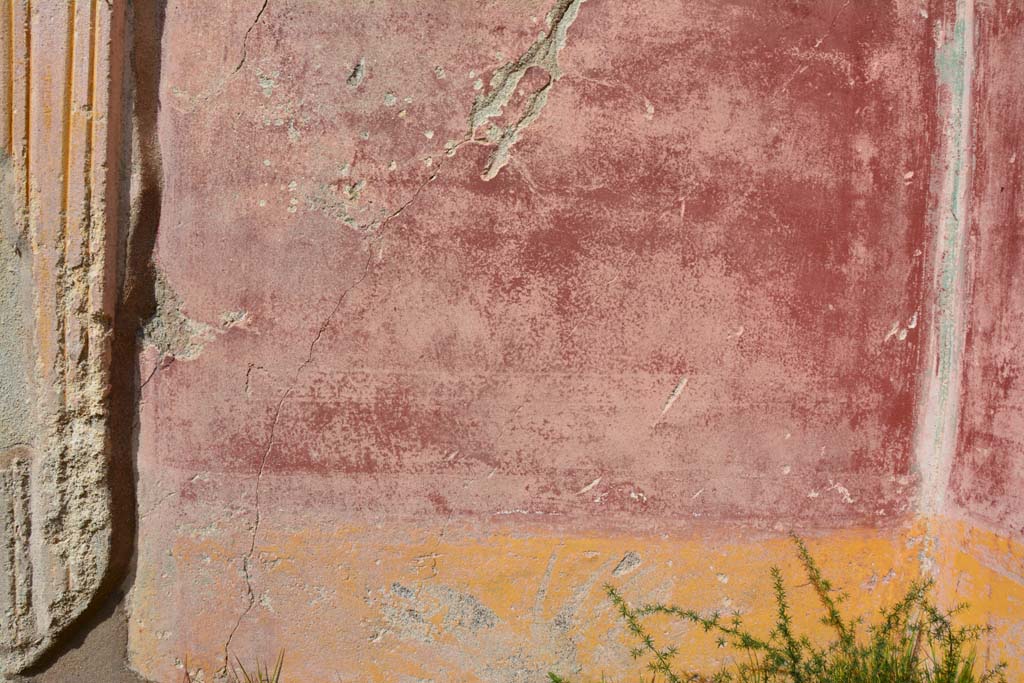 IX.5.18 Pompeii. March 2017. Room n, detail from lower north wall.
Foto Christian Beck, ERC Grant 681269 DÉCOR.