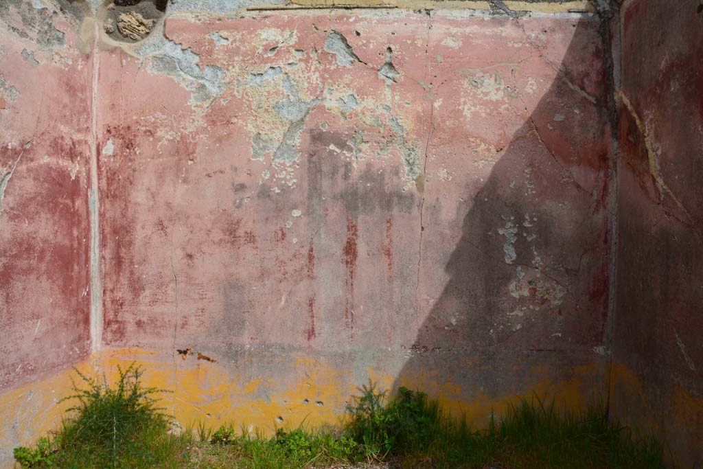 IX.5.18 Pompeii. March 2017. Room n, looking towards east wall with painted central candelabra with a bird perched on top.
Foto Christian Beck, ERC Grant 681269 DÉCOR.