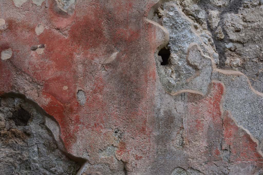 IX.5.18 Pompeii. March 2017. Room a, detail of painted decoration on west wall of entrance corridor.
Foto Christian Beck, ERC Grant 681269 DÉCOR.
