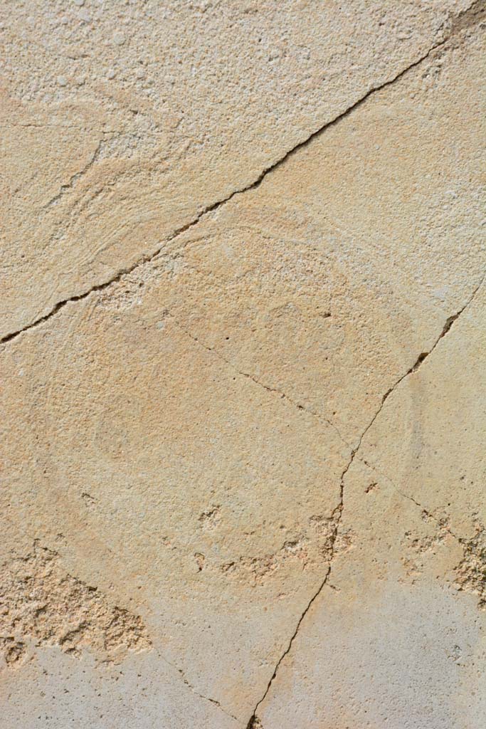 IX.5.18 Pompeii. March 2017. 
Room o, detail of faded medallion in central panel on north wall.
Foto Christian Beck, ERC Grant 681269 DÉCOR.