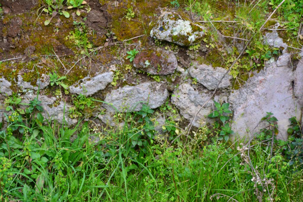 IX.5.18 Pompeii. March 2017. Room b, detail of north wall of pool.
Foto Christian Beck, ERC Grant 681269 DÉCOR.