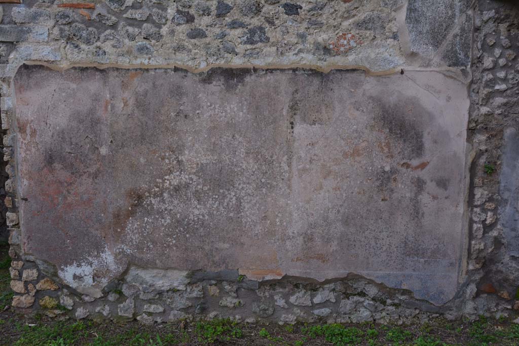 IX.5.18 Pompeii. March 2018. Detail from south wall in south-west corner of atrium/courtyard garden.    
Foto Annette Haug, ERC Grant 681269 DÉCOR.