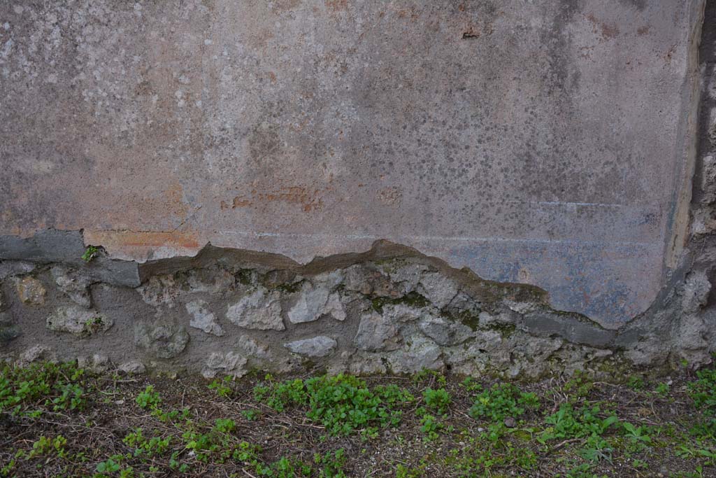 IX.5.18 Pompeii. March 2018. Detail from lower south wall in south-west corner of atrium/courtyard garden.    
Foto Annette Haug, ERC Grant 681269 DÉCOR.