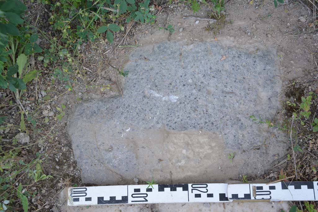 IX.5.18 Pompeii. May 2017. Room f, sides of doorway threshold, detail from south end.
Foto Christian Beck, ERC Grant 681269 DÉCOR.