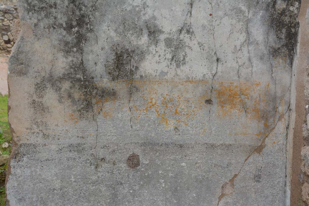 IX.5.18 Pompeii. March 2018. Triclinium “f”, detail from east wall at south end.
Foto Annette Haug, ERC Grant 681269 DÉCOR.