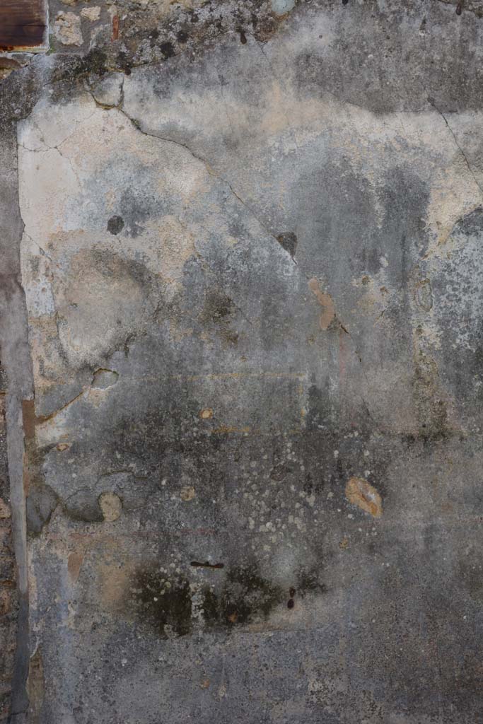 IX.5.18 Pompeii. March 2017. Room f, detail from south wall at east end. 
Foto Christian Beck, ERC Grant 681269 DÉCOR.