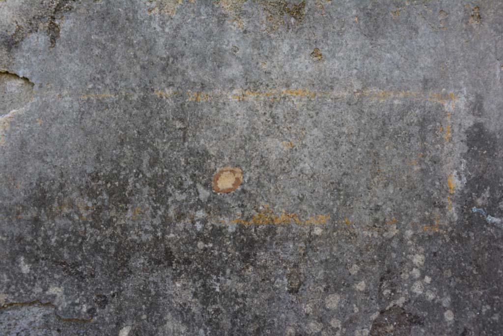 IX.5.18 Pompeii. March 2017. Room f, detail of painted decoration on south wall. 
Foto Christian Beck, ERC Grant 681269 DÉCOR.