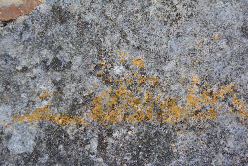 IX.5.18 Pompeii. March 2017. Room f, detail from south wall at east end. 
Foto Christian Beck, ERC Grant 681269 DÉCOR.