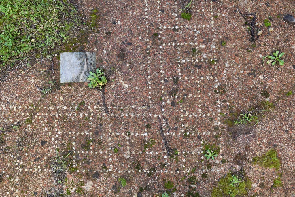 IX.5.18 Pompeii. March 2018. Triclinium “f”, detail of flooring.  
Foto Annette Haug, ERC Grant 681269 DÉCOR.