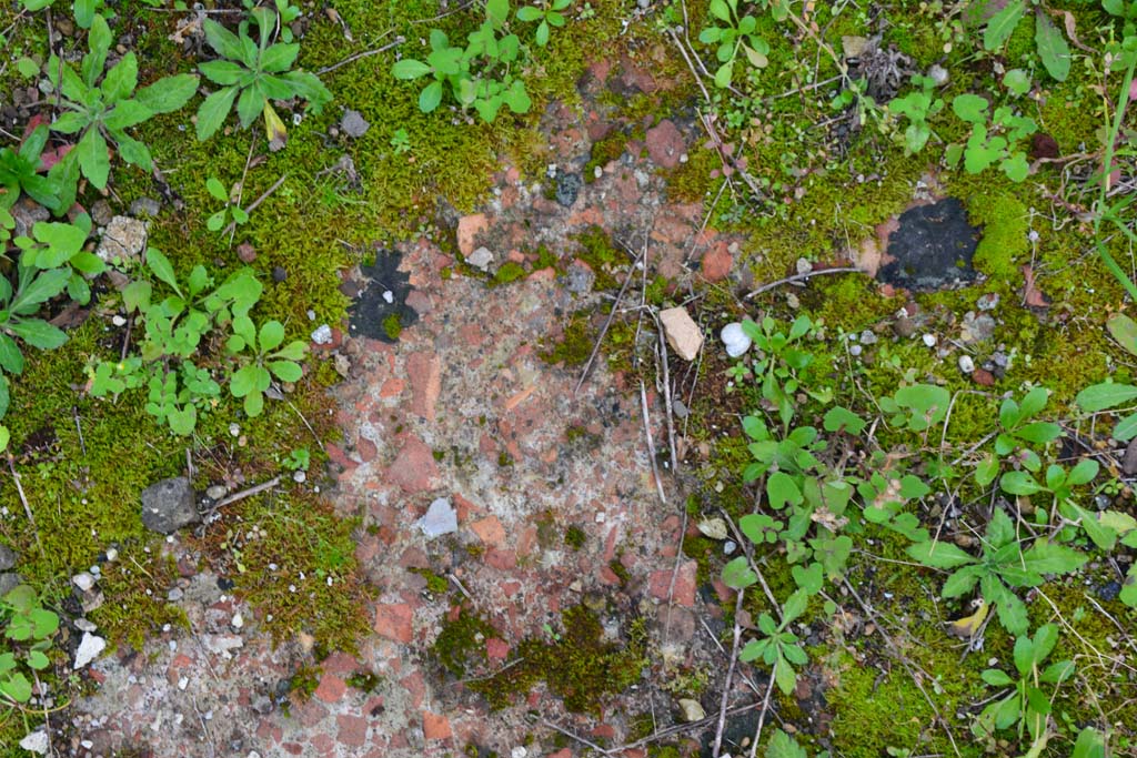 IX.5.18 Pompeii. March 2017. Room g, detail of flooring.
Foto Christian Beck, ERC Grant 681269 DÉCOR.