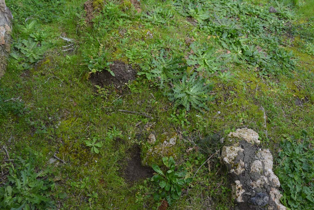 IX.5.18 Pompeii. March 2018.  Room “z”, looking east along front (south) wall with remaining stucco at ground level.
Foto Annette Haug, ERC Grant 681269 DÉCOR.