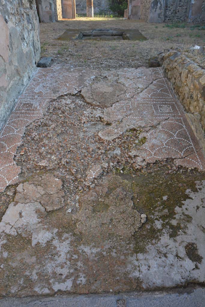 IX.6.4 Pompeii. October 2019. 
Looking east in entrance corridor across remains of decorative mosaic.
Foto Annette Haug, ERC Grant 681269 DÉCOR.