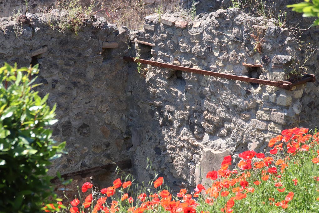 IX.7.14 Pompeii. May 2024. 
Looking north-west towards upper wall above doorway, leading into Vicolo di Tesmo, from Casina dell’Aquila. Photo courtesy of Klaus Heese.