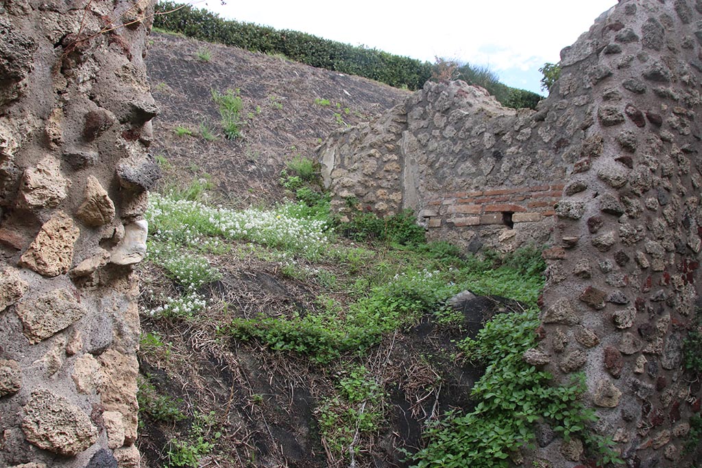 IX.7.16 Pompeii. October 2024. 
Room 6, looking north through doorway from room “d”, with room 5 unexcavated into the bank of earth. Photo courtesy of Klaus Heese.