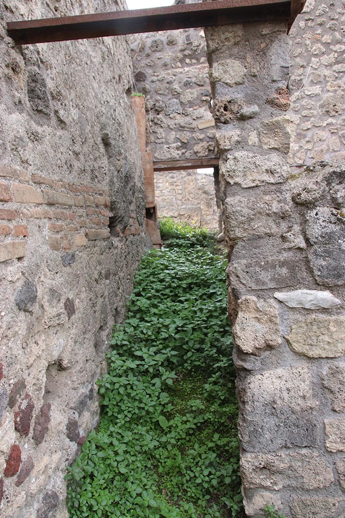 IX.7.16 Pompeii. October 2024. 
Room “d”, looking west along south side. Photo courtesy of Klaus Heese.