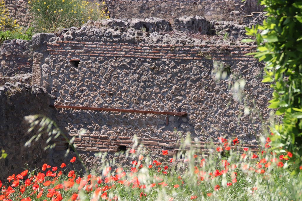IX.7.14 or 16 Pompeii. May 2024. Looking towards upper north wall and north-west corner of garden area “e”. Photo courtesy of Klaus Heese.