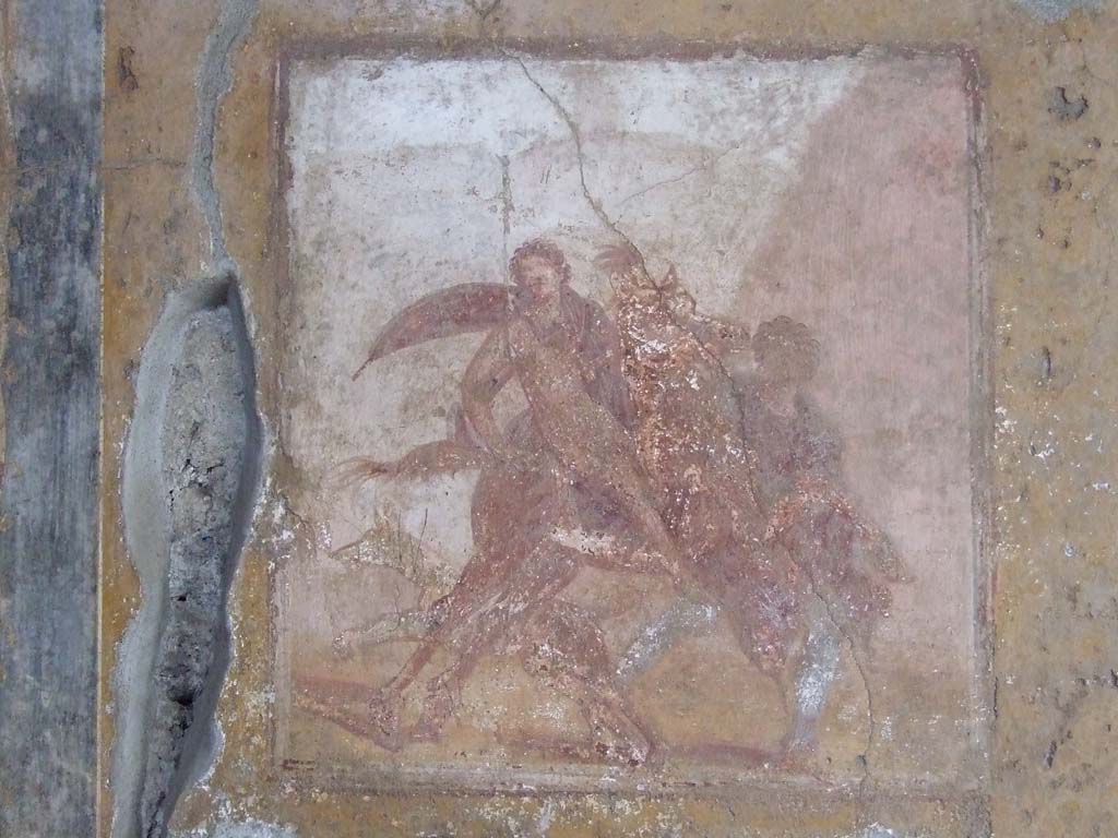 IX.7.20 Pompeii. December 2007. Room (i), west wall of large triclinium, with wall painting of Adonis.
Schefold describes this as Adonis, with a Persian clothed companion, going on a hunt.
See Schefold, K., 1957. Die Wände Pompejis. Berlin: De Gruyter. (p. 271).
According to Peters, this was an Amazon on horseback. 
He described the background as being a grey-lilac mountain-ridge with a small tree on the left, and a column in the centre.
On the right, was a lilac-pink rock.
This background whilst taking up a large amount of space provided few details and was typically Fourth Style.
See Peters, W.J.T. (1963): Landscape in Romano-Campanian Mural Paintings. The Netherlands, Van Gorcum & Comp. (p.108)