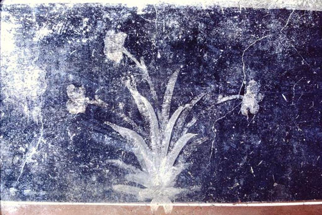 IX.7.20 Pompeii, 1968. Room (i), zoccolo at north end of west wall. Photo by Stanley A. Jashemski.
Source: The Wilhelmina and Stanley A. Jashemski archive in the University of Maryland Library, Special Collections (See collection page) and made available under the Creative Commons Attribution-Non Commercial License v.4. See Licence and use details. J68f1527