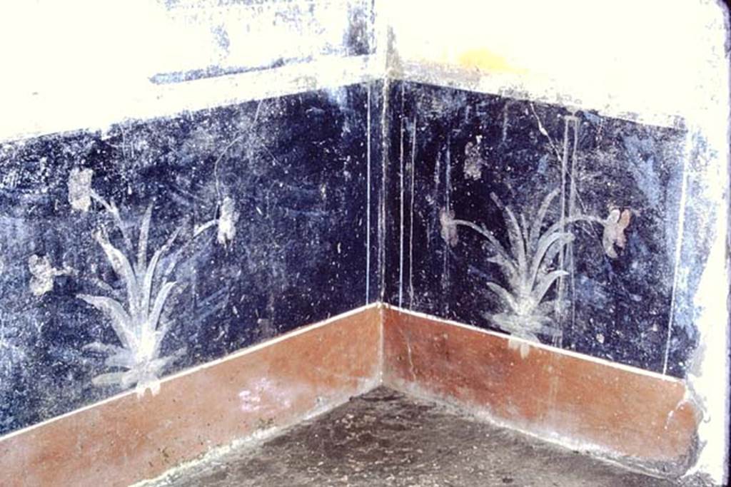 IX.7.20 Pompeii, 1968. Room (i), painted black zoccolo and red plinth in north-west corner.  Photo by Stanley A. Jashemski.
Source: The Wilhelmina and Stanley A. Jashemski archive in the University of Maryland Library, Special Collections (See collection page) and made available under the Creative Commons Attribution-Non Commercial License v.4. See Licence and use details. J68f1529