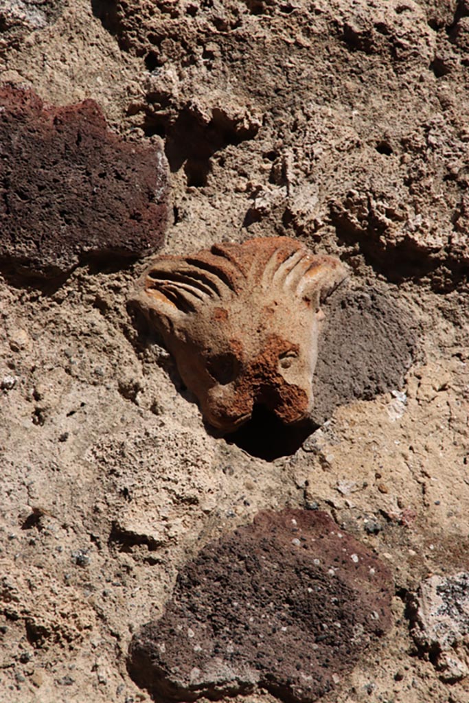 IX.7.21 Pompeii. Pompeii. October 2022. 
Detail of terracotta lion decoration embedded in wall. Photo courtesy of Klaus Heese.