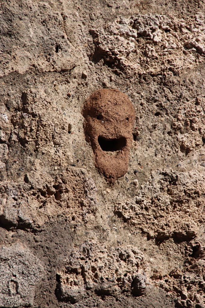 IX.7.21 Pompeii. Pompeii. October 2022. 
Detail of terracotta mask decoration embedded in wall. Photo courtesy of Klaus Heese.