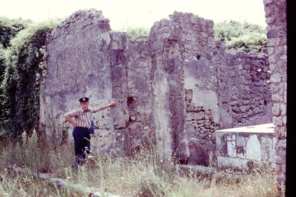 IX.7.24 Pompeii, on right. 1977. Looking east along south side of roadway towards entrances.  Photo by Stanley A. Jashemski.   
Source: The Wilhelmina and Stanley A. Jashemski archive in the University of Maryland Library, Special Collections (See collection page) and made available under the Creative Commons Attribution-Non Commercial License v.4. See Licence and use details. J77f0462