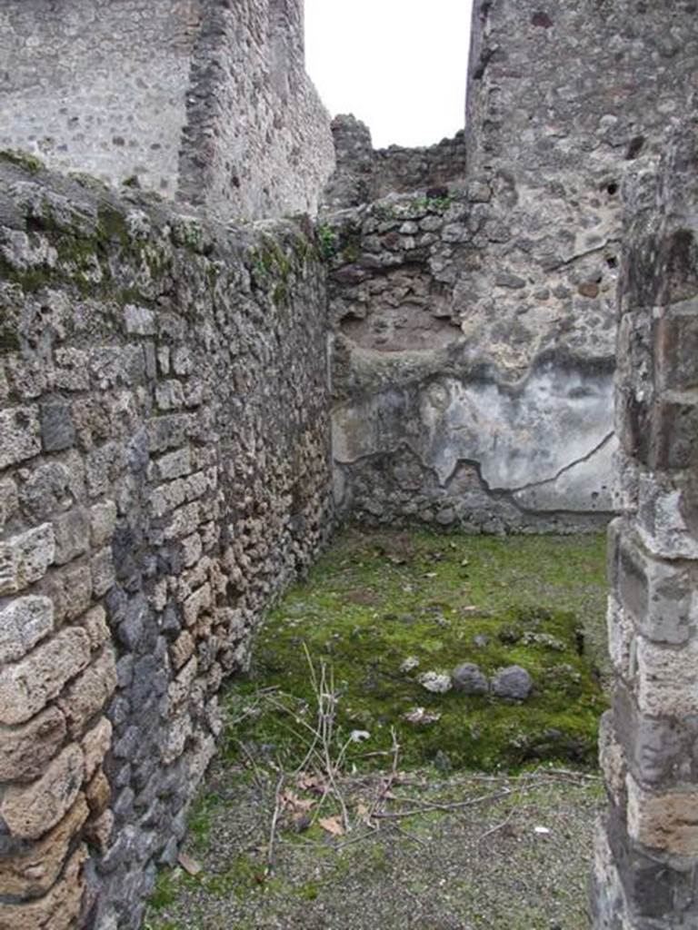 IX.8.6 Pompeii. March 2009.   Room 46, Room of IX.8.3.   Looking south.