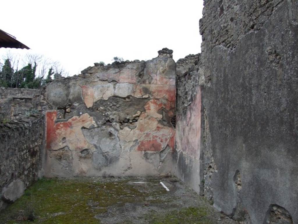 IX.8.6 Pompeii. March 2009. Room 56, looking north in diaeta on the north portico. According to Bragantini, the north wall had a window. The dado would have been black with a geometric pattern. On the north wall, in the central panel on a white background was a painted panel with a sacred landscape. The side panels were red. The upper zone of the walls had faded but would have been of painted architecture.
See Bragantini, de Vos, Badoni, 1986. Pitture e Pavimenti di Pompei, Parte 3. Rome: ICCD. (p.522)
