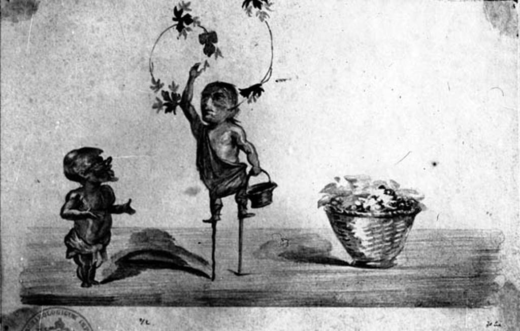 IX.8.6 Pompeii. W.1458. Drawing of wall painting of pygmies gathering the grapes, from west side of centre of north wall, of room 57.
Photo by Tatiana Warscher. Photo © Deutsches Archäologisches Institut, Abteilung Rom, Arkiv.