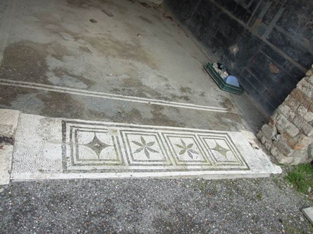 IX.8.6 Pompeii. December 2007.  Room 11, mosaic door sill.