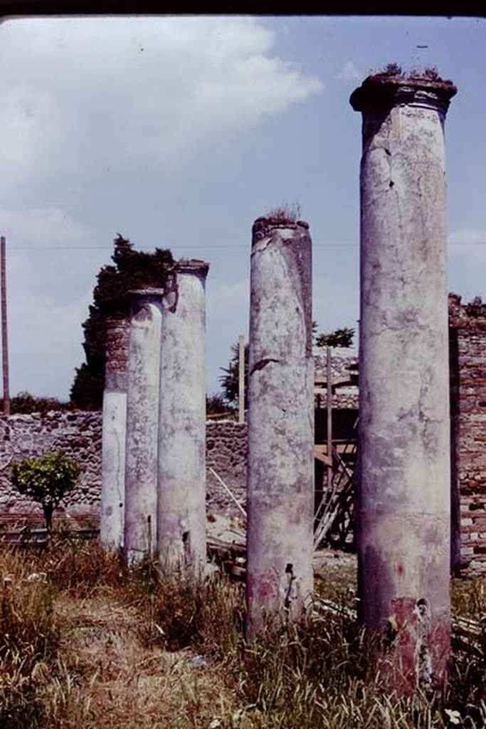 IX.8.6 Pompeii, 1978. Looking east across south end of peristyle. Photo by Stanley A. Jashemski.   
Source: The Wilhelmina and Stanley A. Jashemski archive in the University of Maryland Library, Special Collections (See collection page) and made available under the Creative Commons Attribution-Non Commercial License v.4. See Licence and use details.
J78f0218
According to Jashemski, the peristyle was enclosed on four sides by twenty-two columns, white above and red below.
Cuts in the columns indicated where a wooden fence would have been inserted between the columns.
See Jashemski, W. F., 1993. The Gardens of Pompeii, Volume II: Appendices. New York: Caratzas. (p.244).