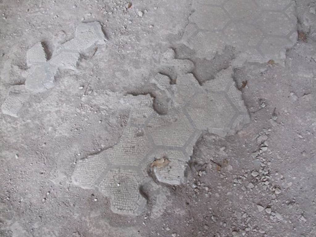 IX.8.6 Pompeii. March 2009. Room 12,  remains of part of mosaic floor in exedra.