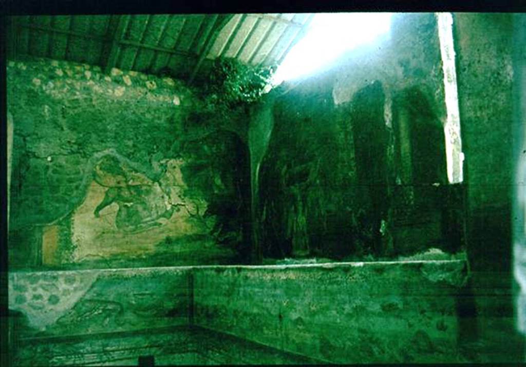 IX.8.6 Pompeii. West side of nymphaeum, south of peristyle. 
Photographed 1970-79 by Günther Einhorn, picture courtesy of his son Ralf Einhorn.