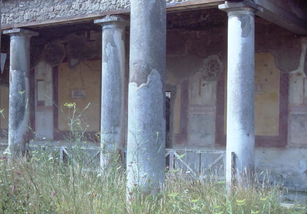 IX.8.6 Pompeii. 7th August 1976. Looking towards west portico from north-west corner of peristyle. 
Photo courtesy of Rick Bauer, from Dr George Fay’s slides collection.