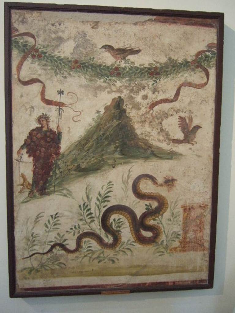 IX.8.3-6 Pompeii. Room 23, Lararium painting found in atrium of servants quarters.  Lararium painting of Bacchus wearing a bunch of grapes.  Also in the painting are a garland, birds and a serpent approaching a round altar from the left.   Bacchus is pouring wine for the panther to drink.   The mountain slopes are covered in vines. Now in Naples Archaeological Museum.  Inventory number: 112286. See Fröhlich, T., 1991. Lararien und Fassadenbilder in den Vesuvstädten. Mainz: von Zabern. (L107, T: 11). See Boyce G. K., 1937. Corpus of the Lararia of Pompeii. Rome: MAAR 14. (p.89, no.448 and Pl. 40, 2)