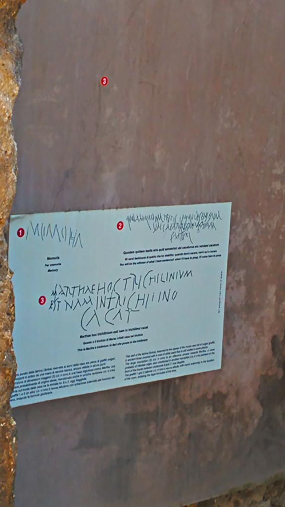IX.8.3/6 Pompeii. December 2019. 
Room 27, scratched graffito in plaster on east wall, and descriptive notice.
Photo courtesy of Giuseppe Ciaramella.
